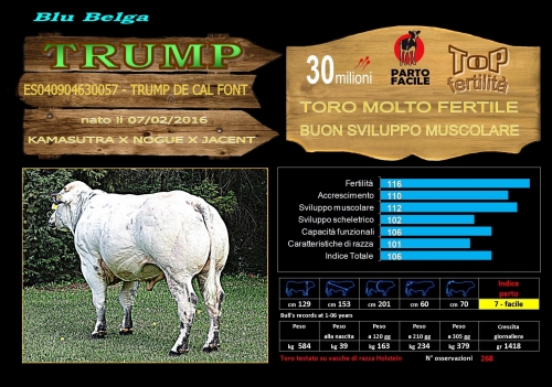 TRUMP (Blu Belga) - FBI GENETICS