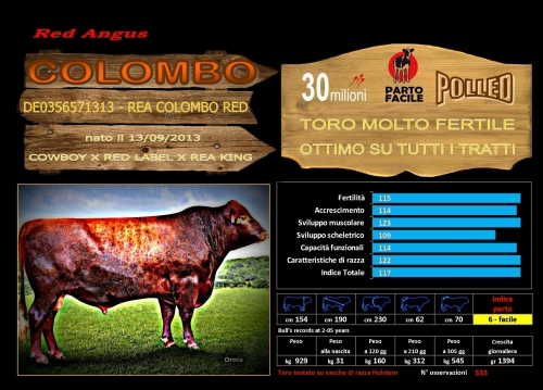 Colombo Red (Red Angus) - FBI GENETICS