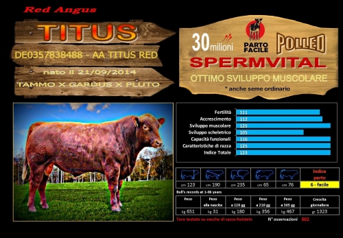 Titus Red (Red Angus) - FBI GENETICS