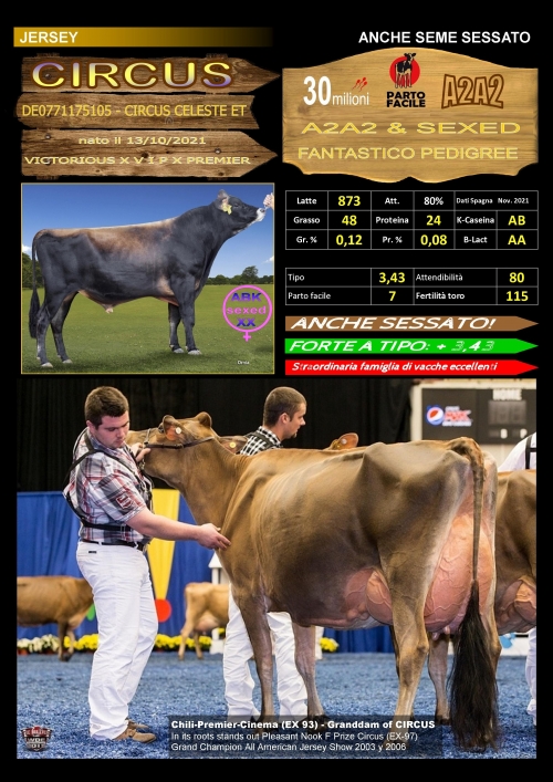 Circus (Jersey) - FBI GENETICS