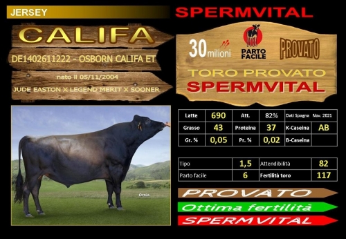 CALIFA  (Jersey) Provato - FBI GENETICS