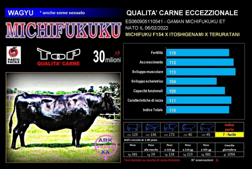 Michifukuku (Wagyu) - FBI GENETICS