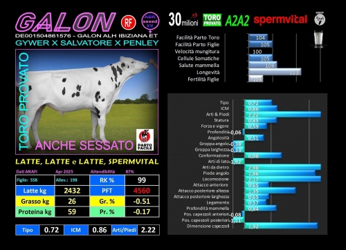 GALON - DE001504861576 (anche SESSATO e SPERMVITAL) - FBI GENETICS