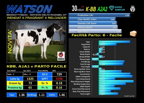 WATSON  - BE000417758233 - FBI GENETICS