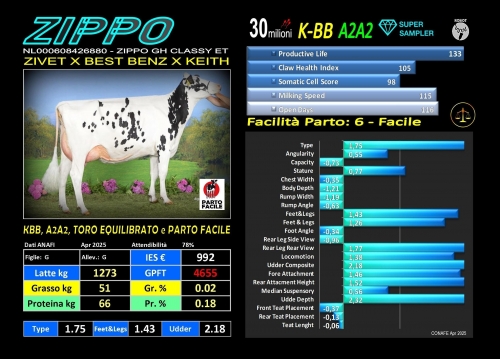 ZIPPO - NL000608426880 - FBI GENETICS