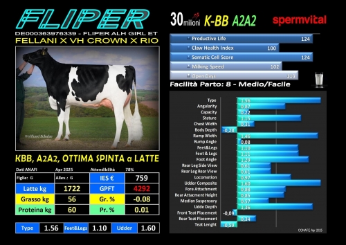 FLIPER - DE000363976339 (anche SPERMVITAL) - FBI GENETICS