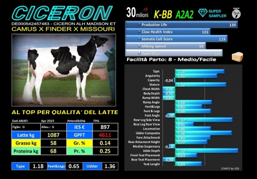 CICERON - DE000542457483 - FBI GENETICS