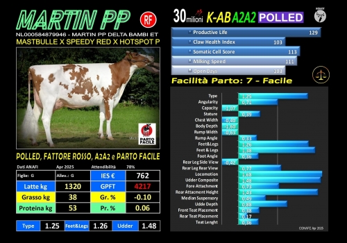 MARTIN  PP - NL000584879946 (anche SESSATO) - FBI GENETICS