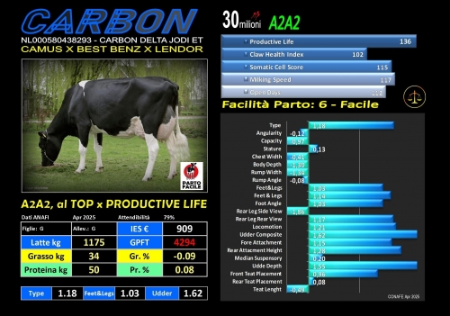 CARBON - NL000580438293 - FBI GENETICS